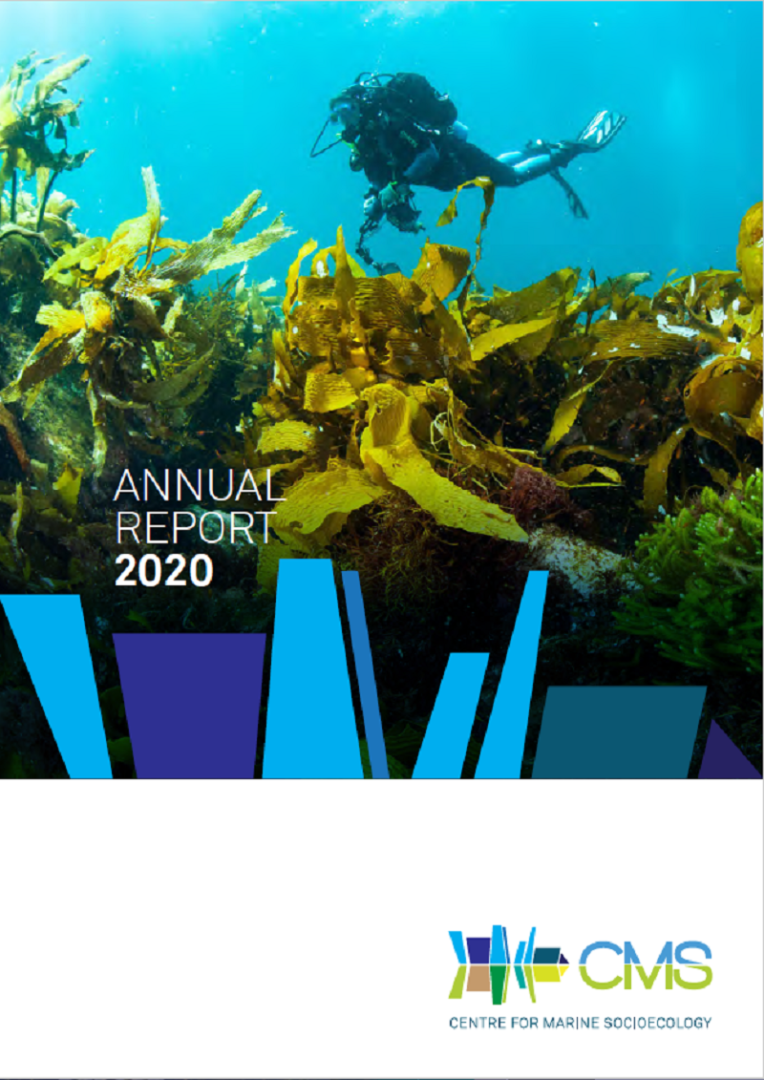 CMS Annual Report 2020