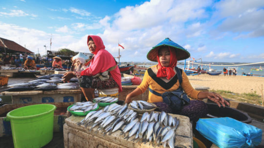 balinese-fishmonger-sells-fish-morning-market-kedonganan-passer-ikan-jimbaran-beach