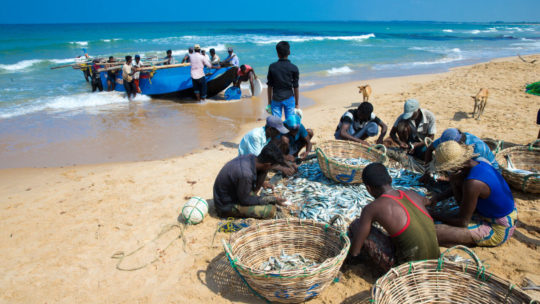 sri-lanka-mach-23-local-fishermen-pull-fishing-net-from-indian-ocean-mach-23-2017-kosgoda-sri-lanka-fishing-sri-lanka-is-way-they-earn-their-living